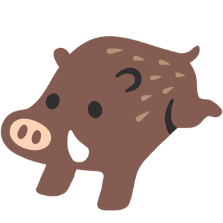 Boar