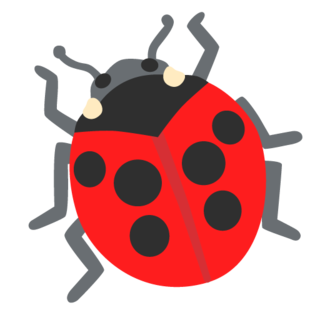 Ladybug