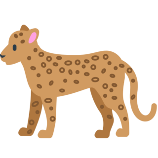 Leopard