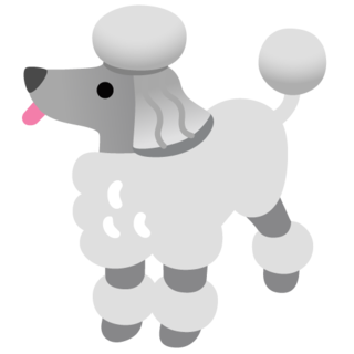 Poodle