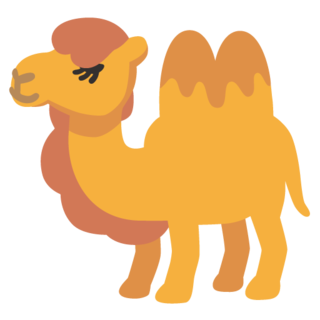 Camel